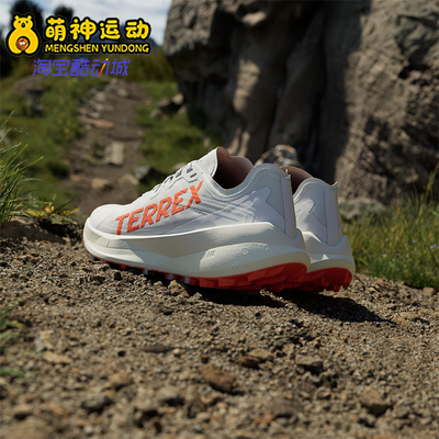 Adidas/阿迪达斯正品新款女士时尚户外透气越野运动跑步鞋IH3771