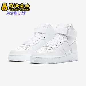 Nike/耐克正品秋季款女士休闲高帮耐磨魔术贴透气板鞋334031-105