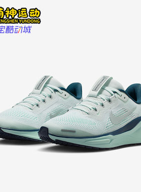 Nike/耐克正品Pegasus 41儿童网眼缓震经典运动跑步鞋FN5041-404