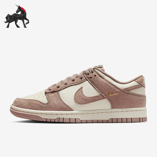 Nike/耐克正品2025秋季款女士耐磨运动透气日常板鞋IB4417-105