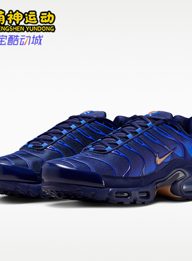 Nike/耐克正品Air Max Plus OG男士耐磨潮流复古休闲鞋IQ0170-400