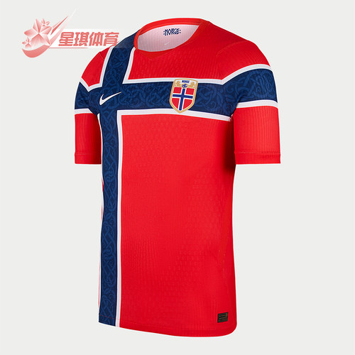 Nike/耐克正品男士主场透气套头圆领短袖足球衣IB5170-673