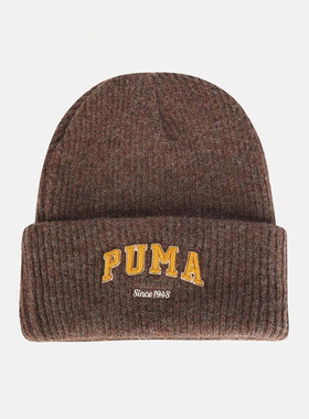 Puma/彪马正品2025年夏季男女运动保暖经典户外针织帽027233-02