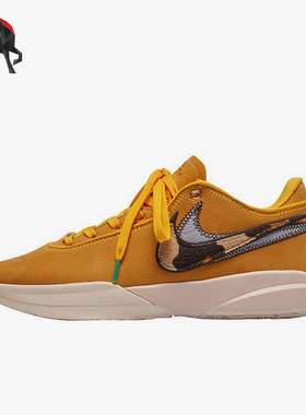 Nike/耐克正品LeBron 20 Art Basel男士时尚经典篮球鞋DQ3828-700