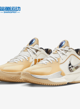 Nike/耐克正品秋季男士缓震耐磨实战透气性篮球鞋HM3700-291