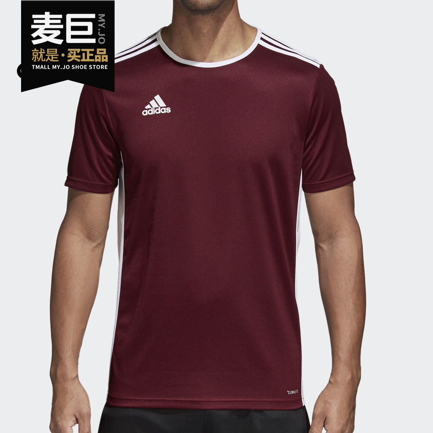 Adidas/阿迪达斯正品2020新款夏季男子Entrada 18组队队服CD8430