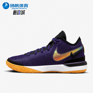 耐克正品 DR8788 Lebron男士 实战运动篮球鞋 500 缓震耐磨经典 Nike