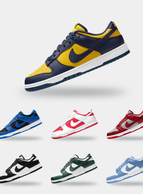 Nike/耐克正品 DUNK 男女低帮耐磨轻便运动休闲鞋 DD1391-700