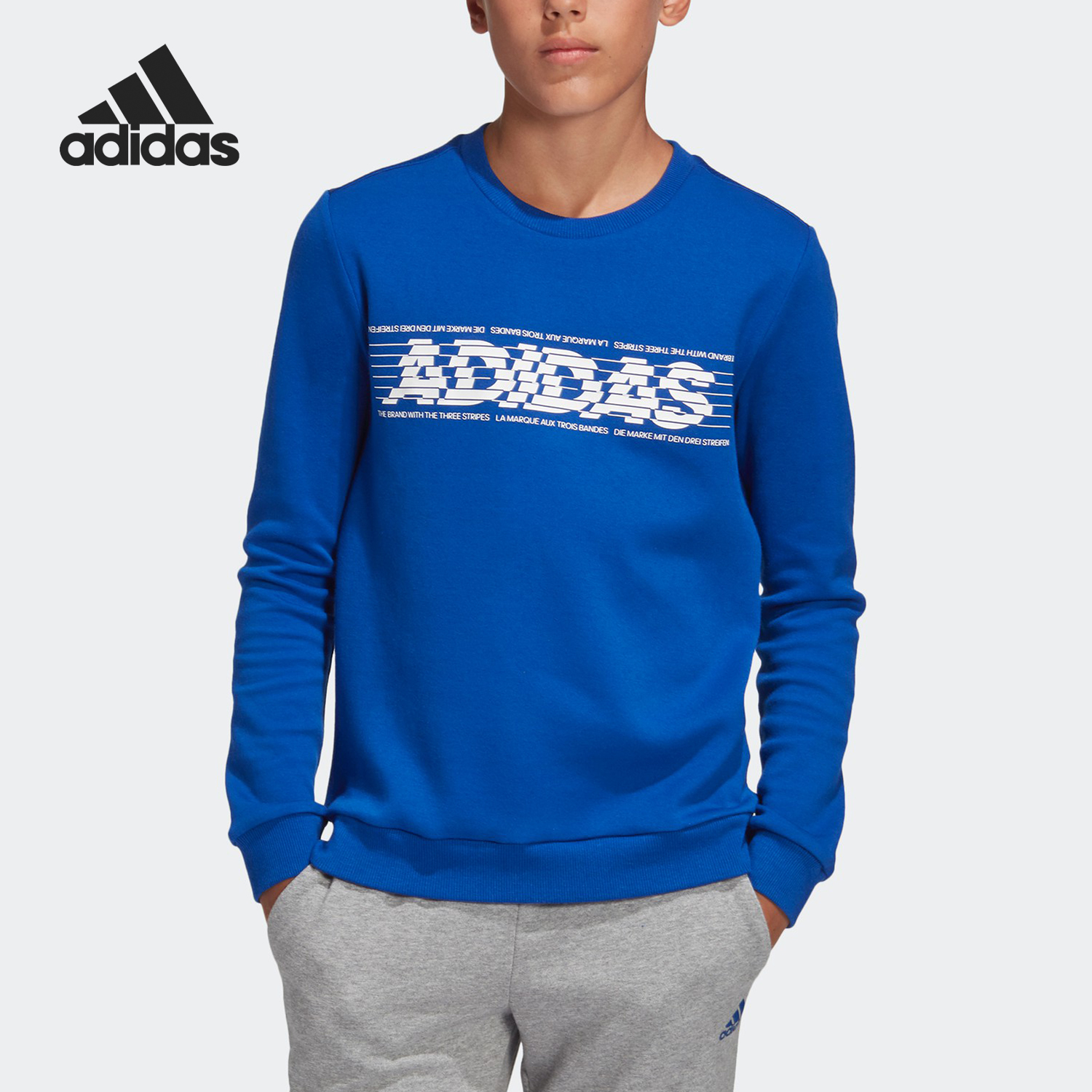 Adidas/阿迪达斯正品秋季男大童YB SID BR CREW2卫衣套头衫ED6510