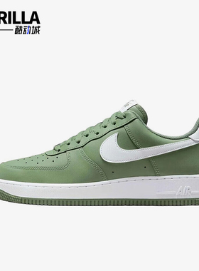 Nike/耐克正品2025秋季款男士日常低帮系带透气板鞋FJ4146-301