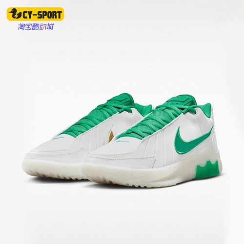 Nike/耐克正品LEBRON WITNESS IX EP男士经典篮球鞋HQ8035-101