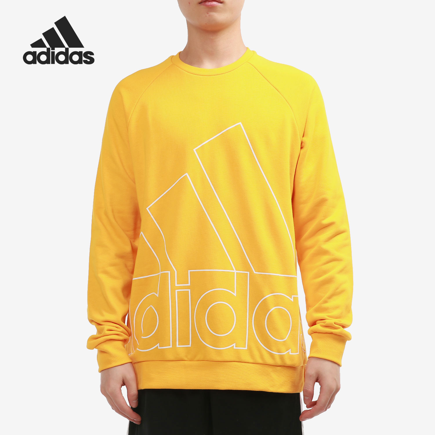 Adidas/阿迪达斯正品当季新款男子针织休闲圆领卫衣HB5088
