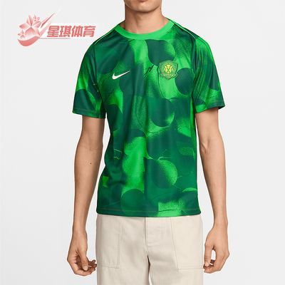 Nike/耐克正品Dri-FIT男士修身训练运动时尚经典短袖HM5716-302