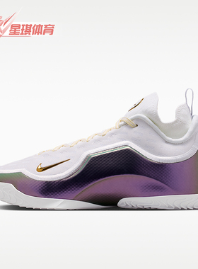 Nike/耐克正品LeBron新款男白紫色经典实战外场篮球鞋IB9558-100