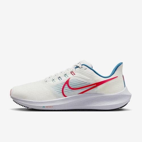 Nike/耐克正品男子跑步鞋