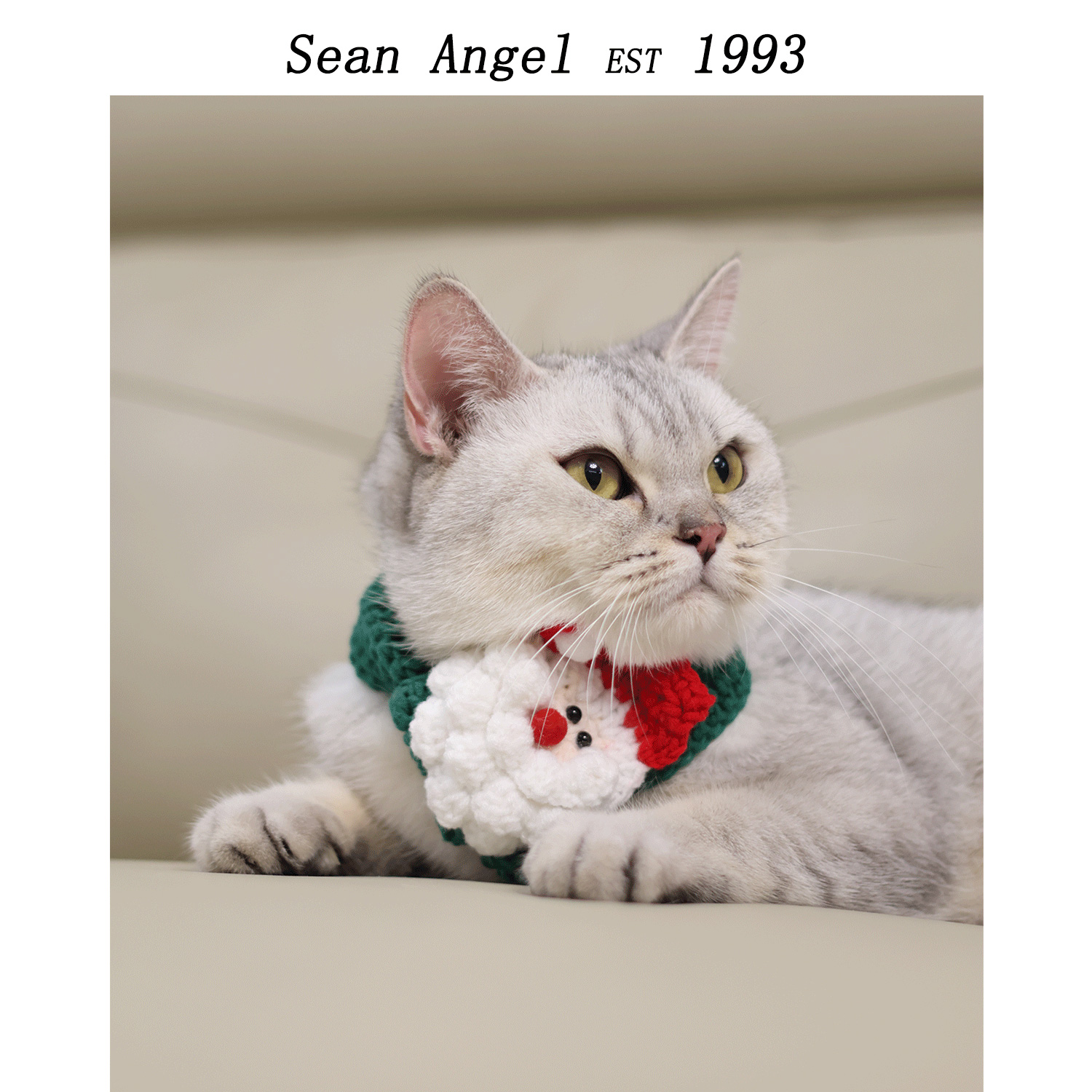 装饰大型犬节日礼物小狗猫毛线