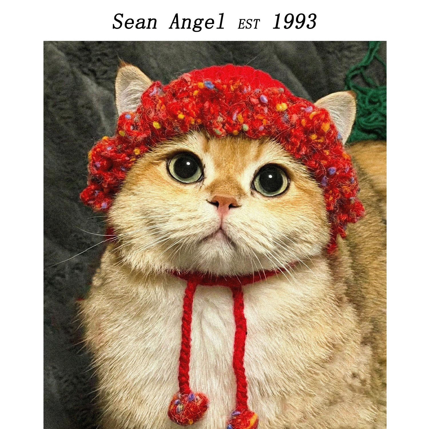 宠物2026簪花毛线项圈帽子猫咪狗狗头套头饰围巾生日礼物中式配饰