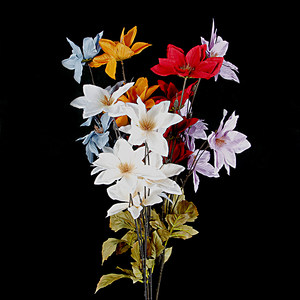 水仙紫色价格 水仙紫色图片 星期三