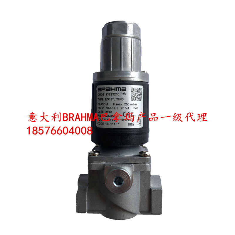 EG12 * L*GFD BRAHMA BRAHMA gas burner solenoid valve 13923200 Baltur