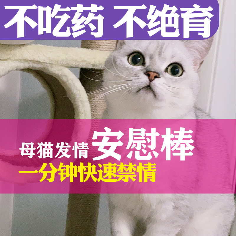 母猫专用安慰棒猫咪猫发情期情绪