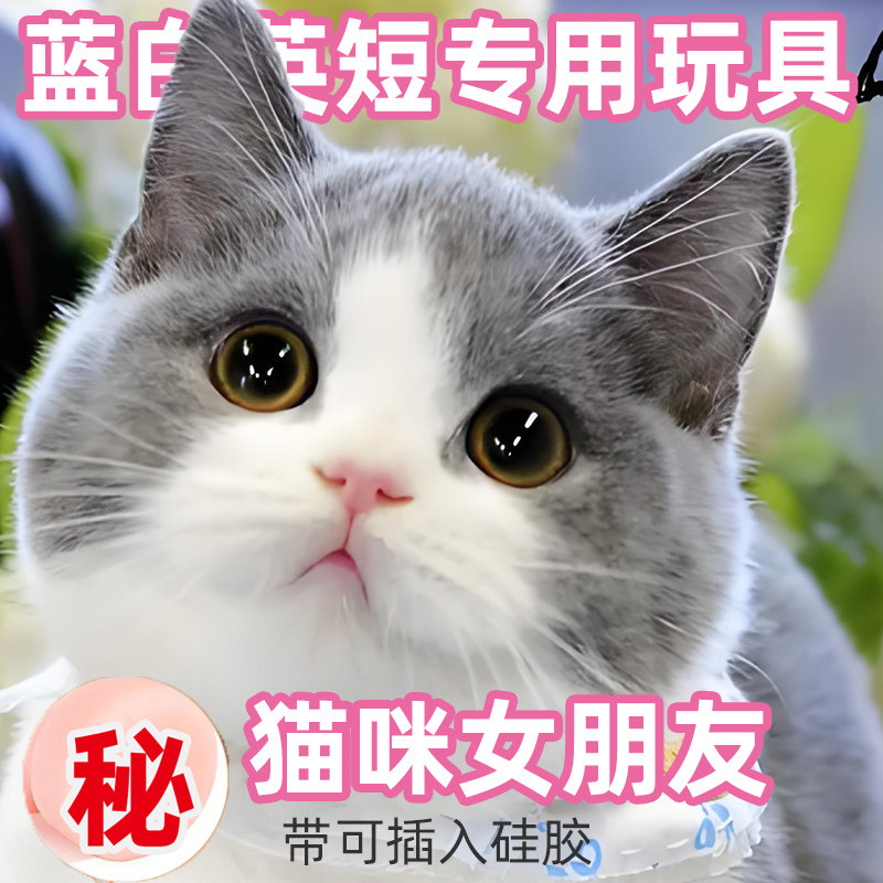 蓝白英短专用玩具发情期发泄玩具猫咪女朋友新款带硅胶可反复使用