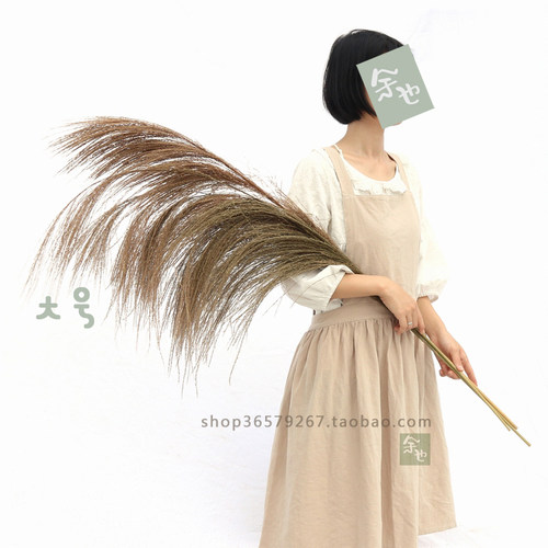 婚纱店橱窗现场客栈文艺风芦苇