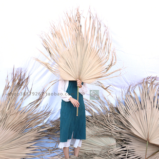 棕榈树叶蒲葵叶扇形背景北欧婚庆会展布景葵扇叶商场场景手工编织