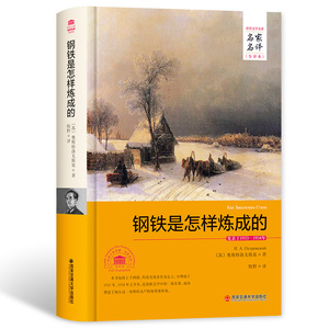 钢铁是怎样炼成的 中文全译本初高中小学生课外读物原著版 钢铁是怎么炼成的世界经典文学名著小说畅销书