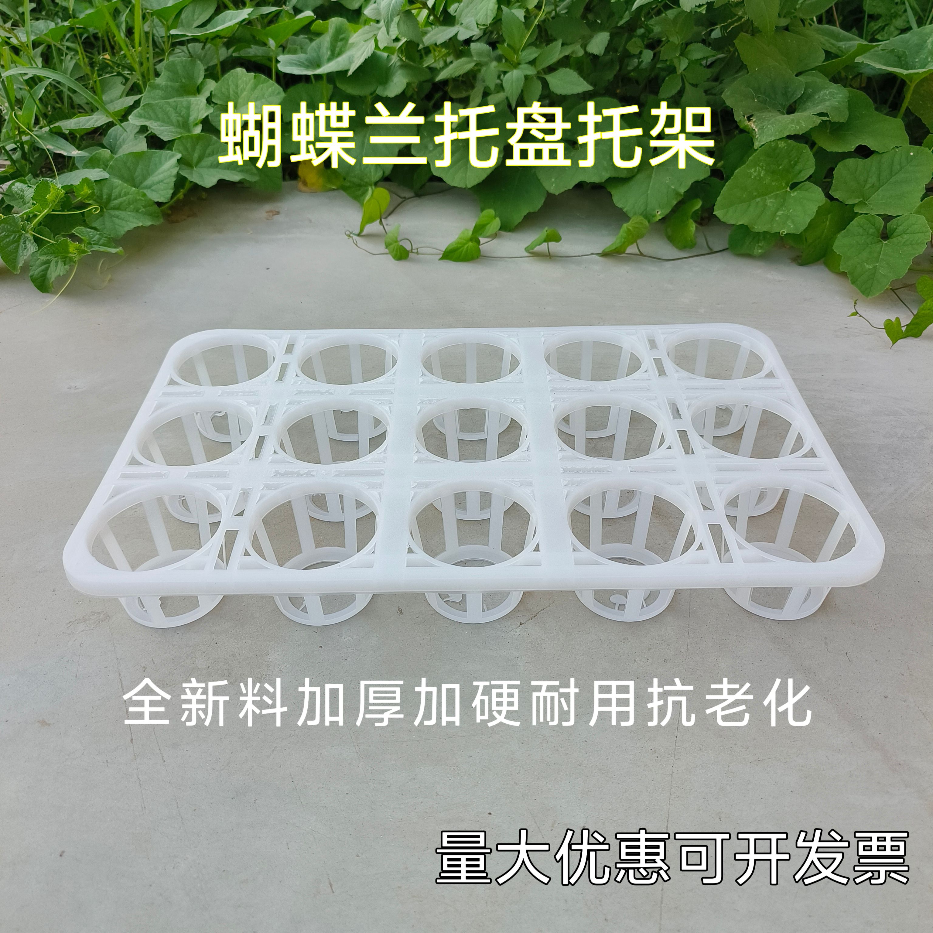 蝴蝶兰托盘托架白色12孔15孔育苗穴盘双色盆多肉托盘架万象盆托架