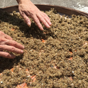 六鳌北北海石花草洋菜膏岩衣石花膏石花冻四果汤原料250g包邮