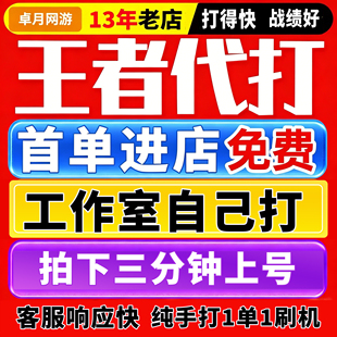 王者荣耀代打排位上分百星代练小国标战力赛陪练陪玩打代上星