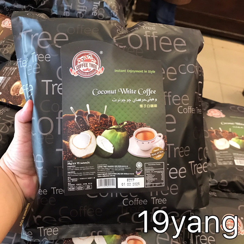 马来西亚coffeetree椰子咖啡树