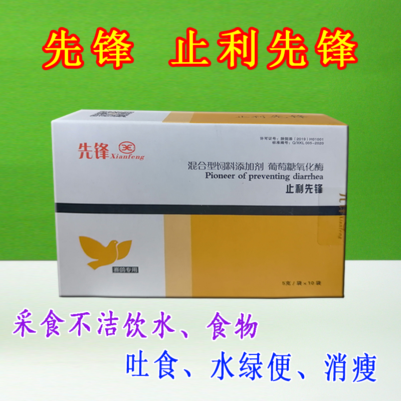 信鸽 先锋鸽鸟【止痢先锋】沙门氏菌大肠杆菌/下痢/水便/绿便包邮