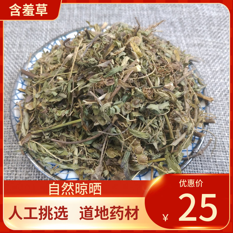 中药材 含羞草500g别名感应草知羞草呼喝草怕丑草夫妻草害羞草