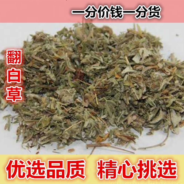 正宗 翻白草 500g 带根全草非翻白草茶搭配地骨皮野生