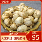 500g 新疆贝母 伊贝母大伊贝另有平贝松贝川贝 伊贝母 中药材