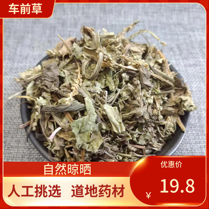 中药材 甄选车前草 500g 车前草泡茶干货 车前草
