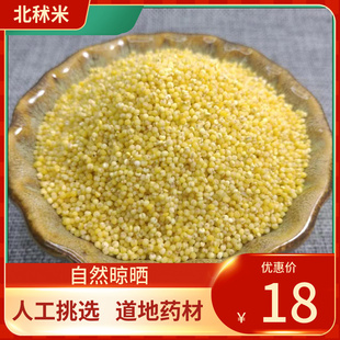 中药材  秫米500g 北秫米 黄米 糯粟 黄糯 新货