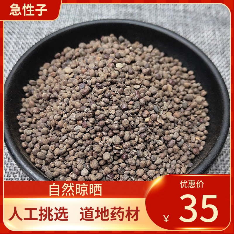 中药材 急性子 500g 新货干货 金凤花子 凤仙子