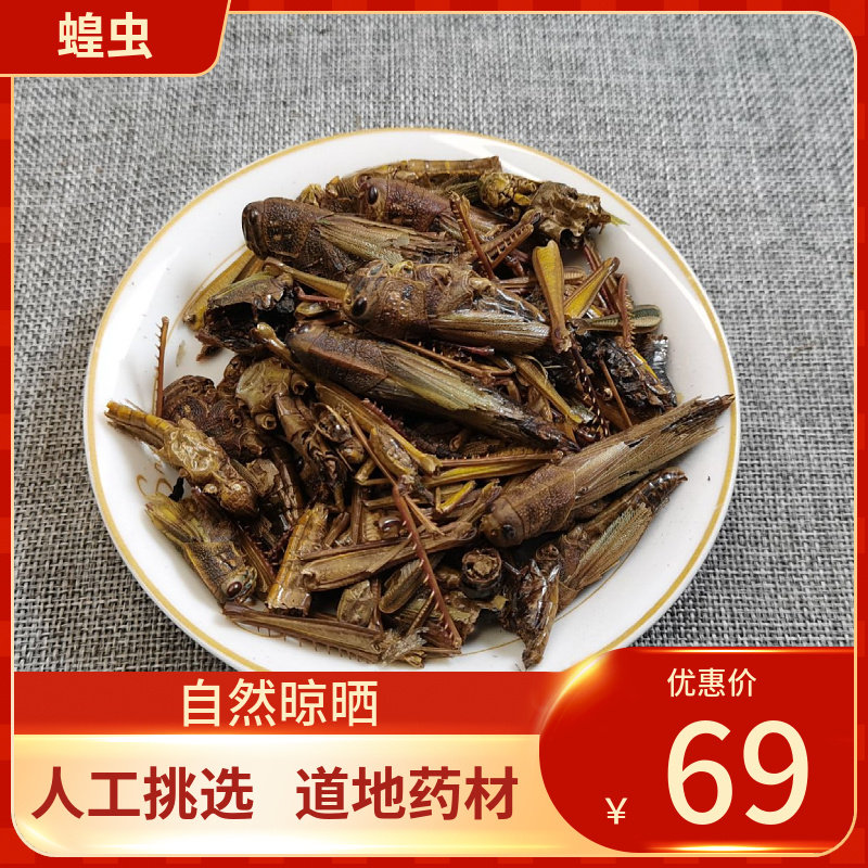 中药材 蚂蚱干500g烘干稻蝗干蝗虫干蚱蜢干草蜢干鸟食饲料