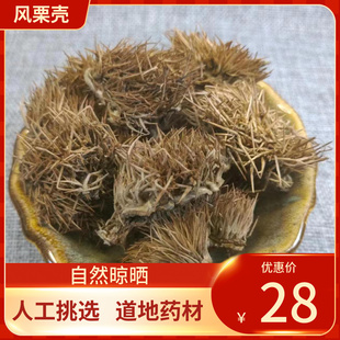 中药材 风栗壳 500g 带刺板栗球栗刺壳风栗壳板粟刺粟子
