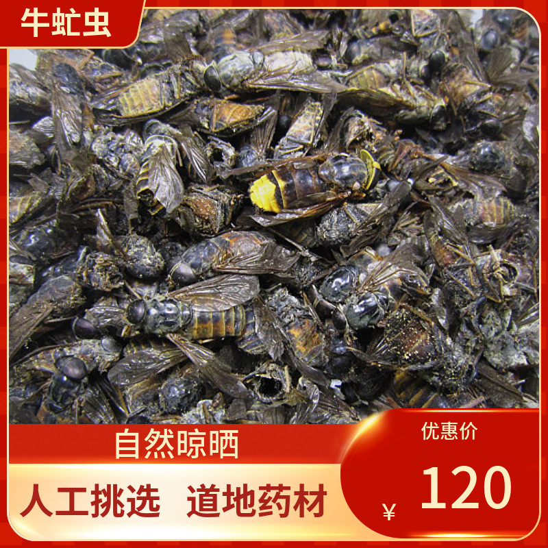 中药材 牛虻虫100g 蜚虻、牛虻、牛蚊子、牛苍蝇中草药