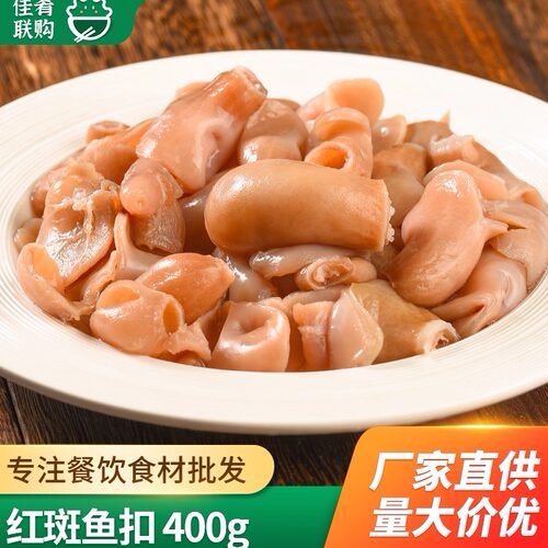 红斑鱼扣精品鱼肚鱼泡半成品食材