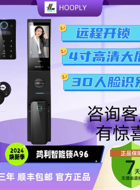 鸿利智能锁A96全自动远程可视
