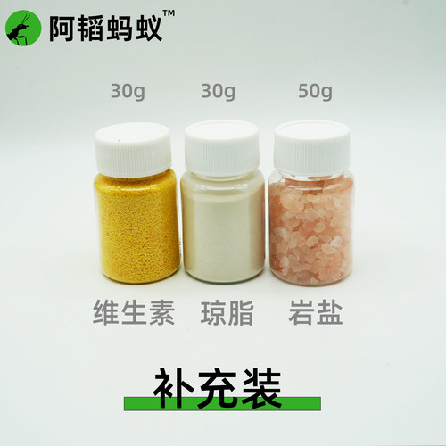 阿韬ANTS蚂蚁食物DIY版
