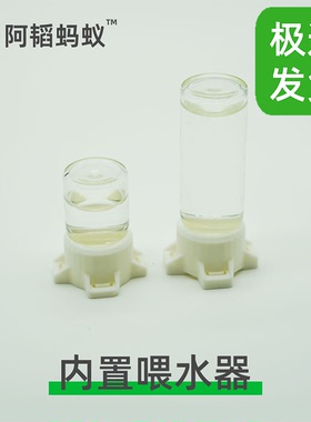 蚂蚁内置喂水器水塔蚂蚁喂水塔蚂蚁喂水器水塔阿韬ants