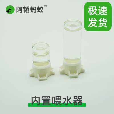 蚂蚁内置喂水器水塔蚂蚁喂水塔蚂蚁喂水器水塔阿韬ants