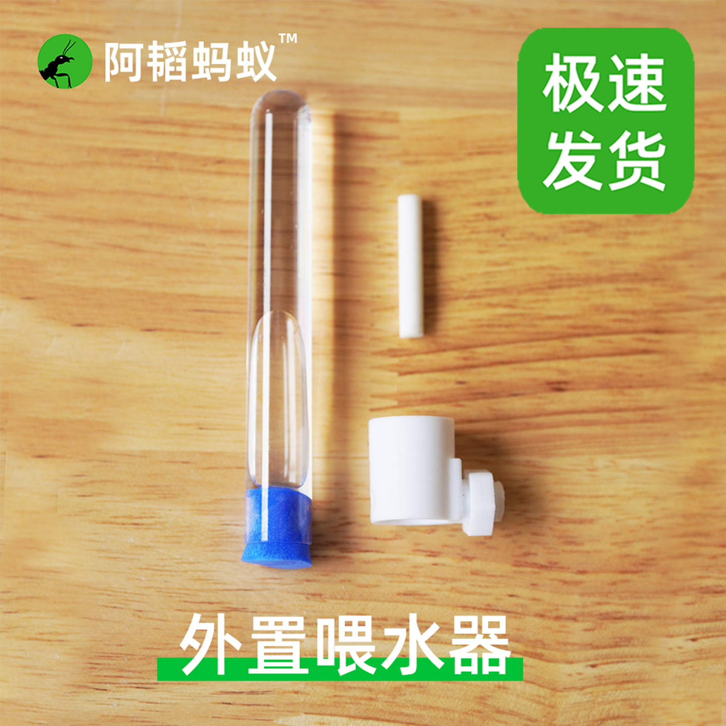 蚂蚁外置试管喂水器蚂蚁喂水器饮水器蚁巢喂水器阿韬ants