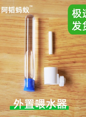 蚂蚁外置试管喂水器蚂蚁喂水器饮水器蚁巢喂水器阿韬ants