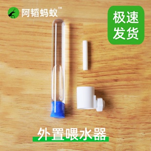 蚂蚁外置试管喂水器蚂蚁喂水器饮水器蚁巢喂水器阿韬ants